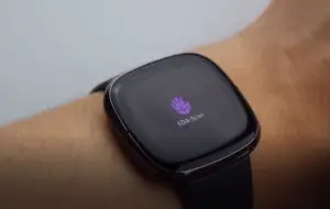 Fitbit Sense Test: Eine innovative Gesundheits-Smartwatch? 4